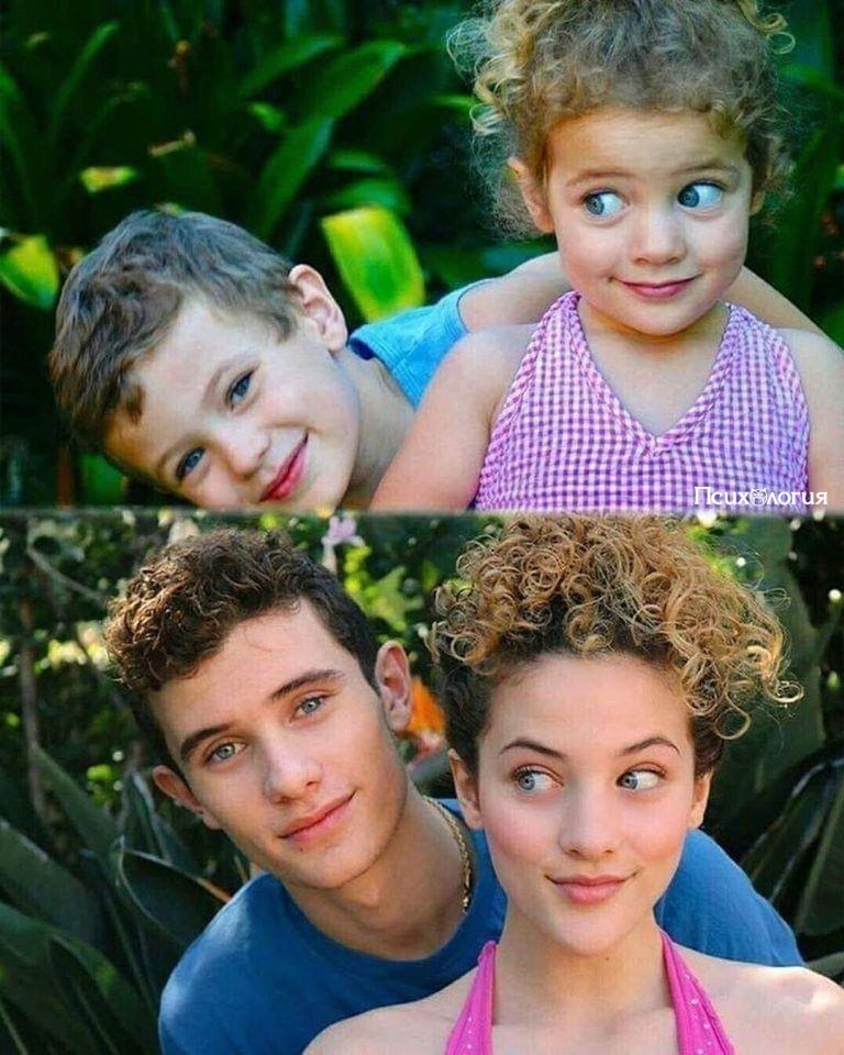  ,     .