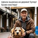 ���� ������ �������, �������, 67 ��� - ��������� 2 ������ 2024 � ������ �������� .�