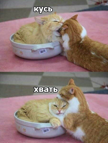    - 10  2024  11:35