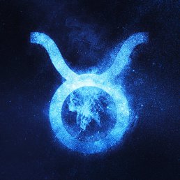  ϸ, , 31  -  1  2025