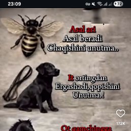 ���� �����, ���������, 36 ��� - ��������� 27 ������� 2026