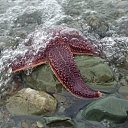 ���� ���, ������, 62 ���� - ��������� 8 ������� 2025