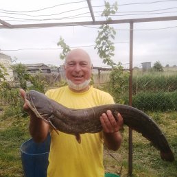 , 53 , 