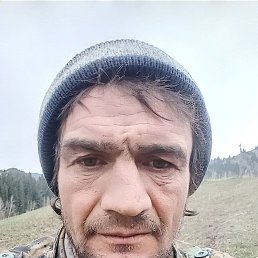 , 39, 