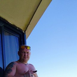 ����, ������������, 44 ����