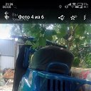 ���� ������ �� ���� ����, ������-��-����, 58 ��� - ��������� 17 ������ 2026 � ������ ���� ����������