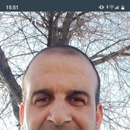 , 56, 