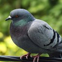 ���� �������, ������, 44 ���� - ��������� 19 ������� 2025 � ������ ���� ����������