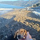 ���� ��������, ������-��-����, 45 ��� - ��������� 21 ������ 2025