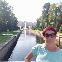 ���� ������, �������, 58 ��� - ��������� 5 ������ 2024