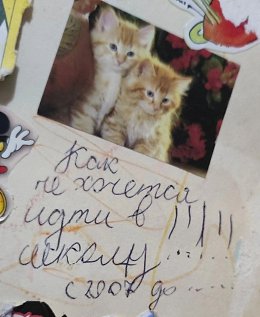 �����������