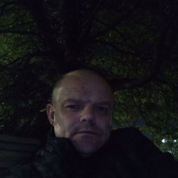 , 41 , 