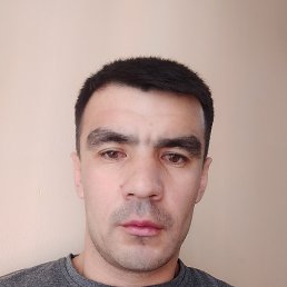 , 33, 