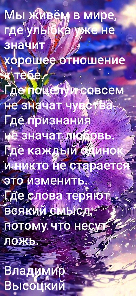   - 8  2025  20:49