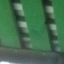 C�����, �������, 40 ���