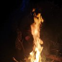 ���� ����, �������, 44 ���� - ��������� 31 ����� 2026 � ������ ���� ����������