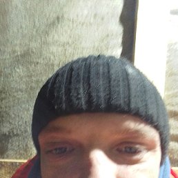 ������, �����, 38 ���