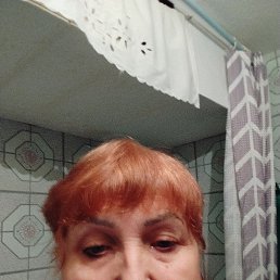 , 65, 