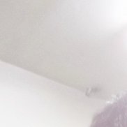 ������, 56 ���, ���������