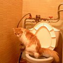 ���� ������, �����, 65 ��� - ��������� 20 ������� 2025 � ������ ���� ����������