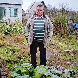 ������, 65 ���, ����