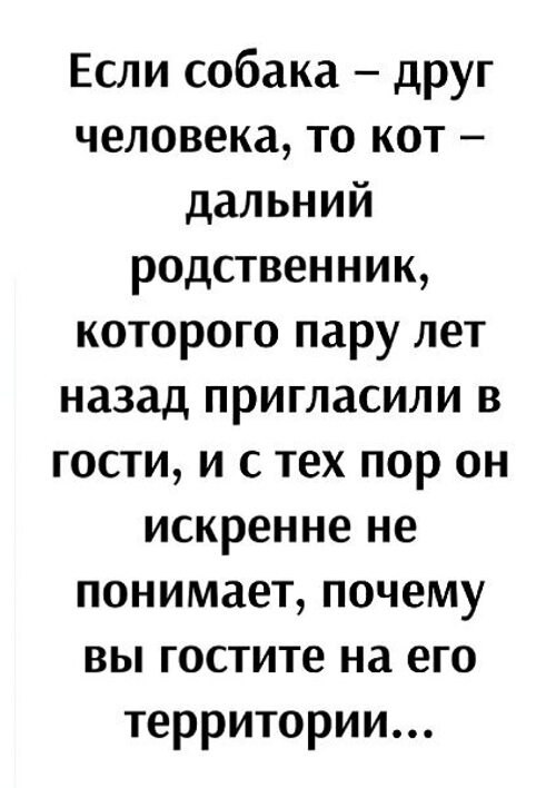   ! - 10  2024  18:22