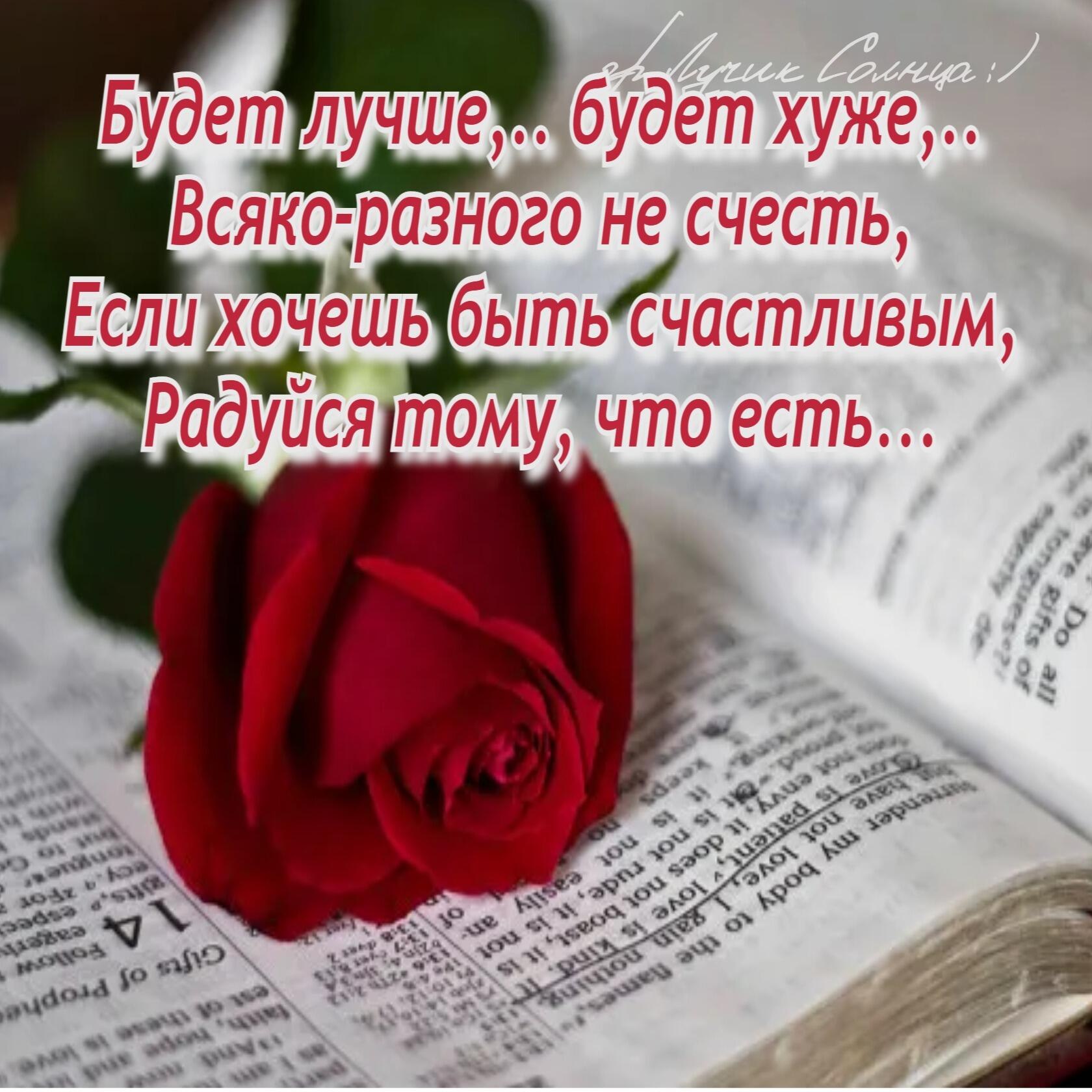 ���� - 23 ���� 2026 � 20:55