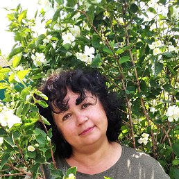 ���� ������, ��������, 49 ��� - ��������� 13 ���� 2024