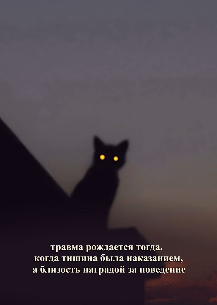  - 15  2025  07:10 - 5