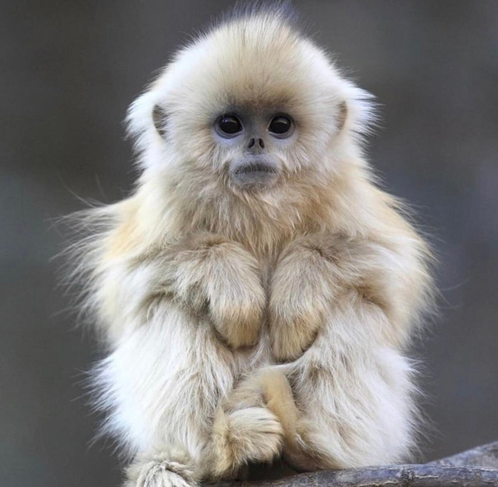    -   .   ,     ... - 2