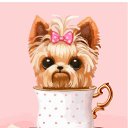 ���� ������ Teto (Tigerlyly Lily), �����, 31 ��� - ��������� 26 ����� 2026 � ������ ������ ��������