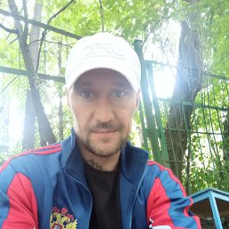 ���� �������, ������ ��������, 43 ���� - ��������� 20 ������ 2024