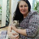 ���� �����, ���������� - ��������� 8 ������ 2026