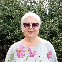 , 65, 
