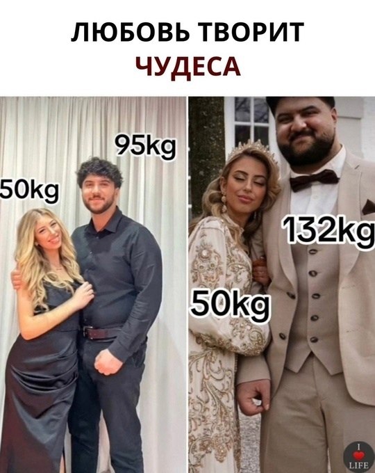    ,  .