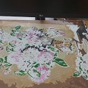 ���� �������, ������, 49 ��� - ��������� 4 ������ 2024 � ������ ���� ����������