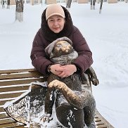 �����, 54 ����, �������