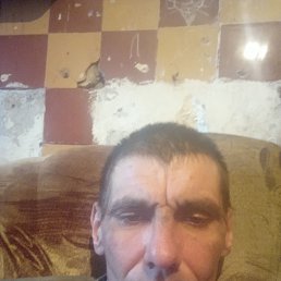, 41 , 