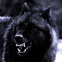 ���� �������, ����, 46 ��� - ��������� 24 ������� 2024 � ������ ���� ����������
