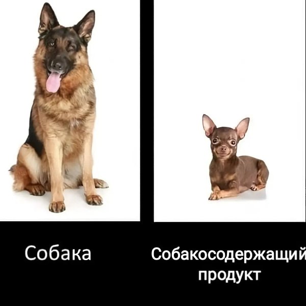  - 4  2025  08:35