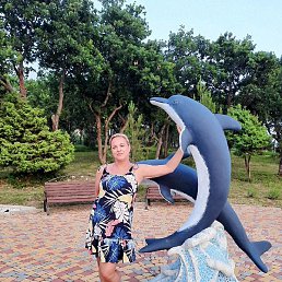 �������, ����������, 53 ����