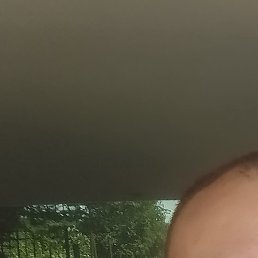 ���������, �������, 38 ���