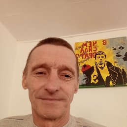 , 49, 