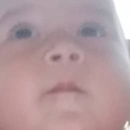 ������, �������, 40 ���