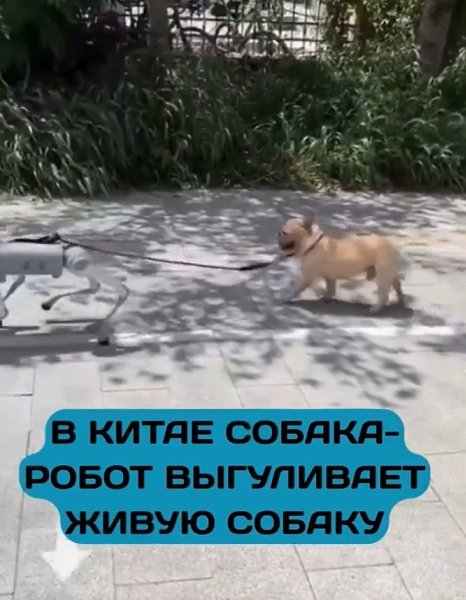 ��ae po�o-�c �a�e��e� �o����a � �������ae� �ac�o���� co�a��. ��ae �o����oc� ���eo, ��e po�o-�c ... - 2