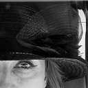 ���� ������, ������, 48 ��� - ��������� 27 ���� 2024 � ������ ���� ����������