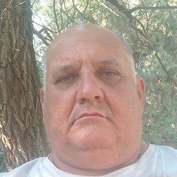 ���� ��������, ����, 48 ���