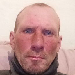 ��������, ������, 41 ���