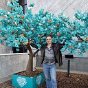 ���� �������, ������, 54 ���� - ��������� 14 ������ 2026