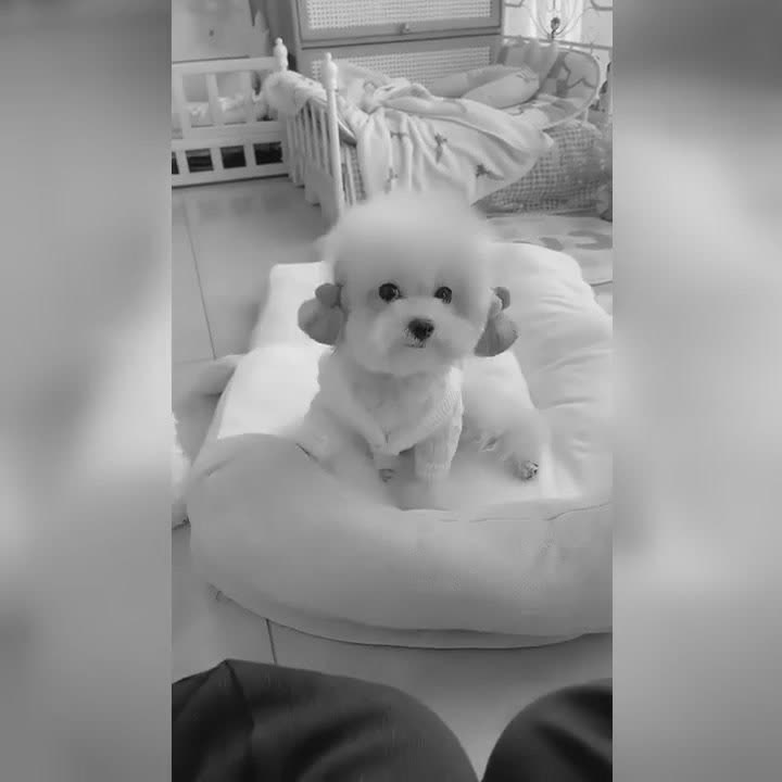 � ��o� ����c���, �o�o�e, ��o��e �a� �c�po��c�. ����� ������� - 2